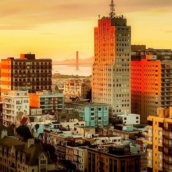 Our Team Collaboration