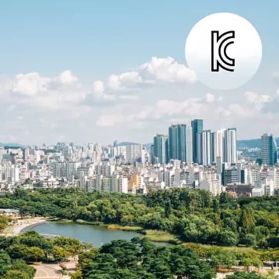 Our Team Collaboration