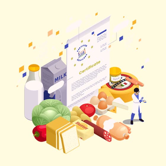 Our Team Collaboration