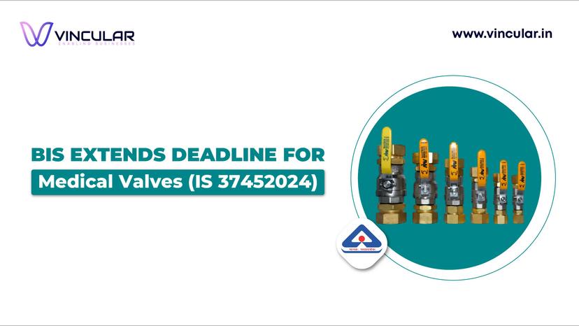 BIS Extends Deadline for IS 3745:2024 Medical Valves